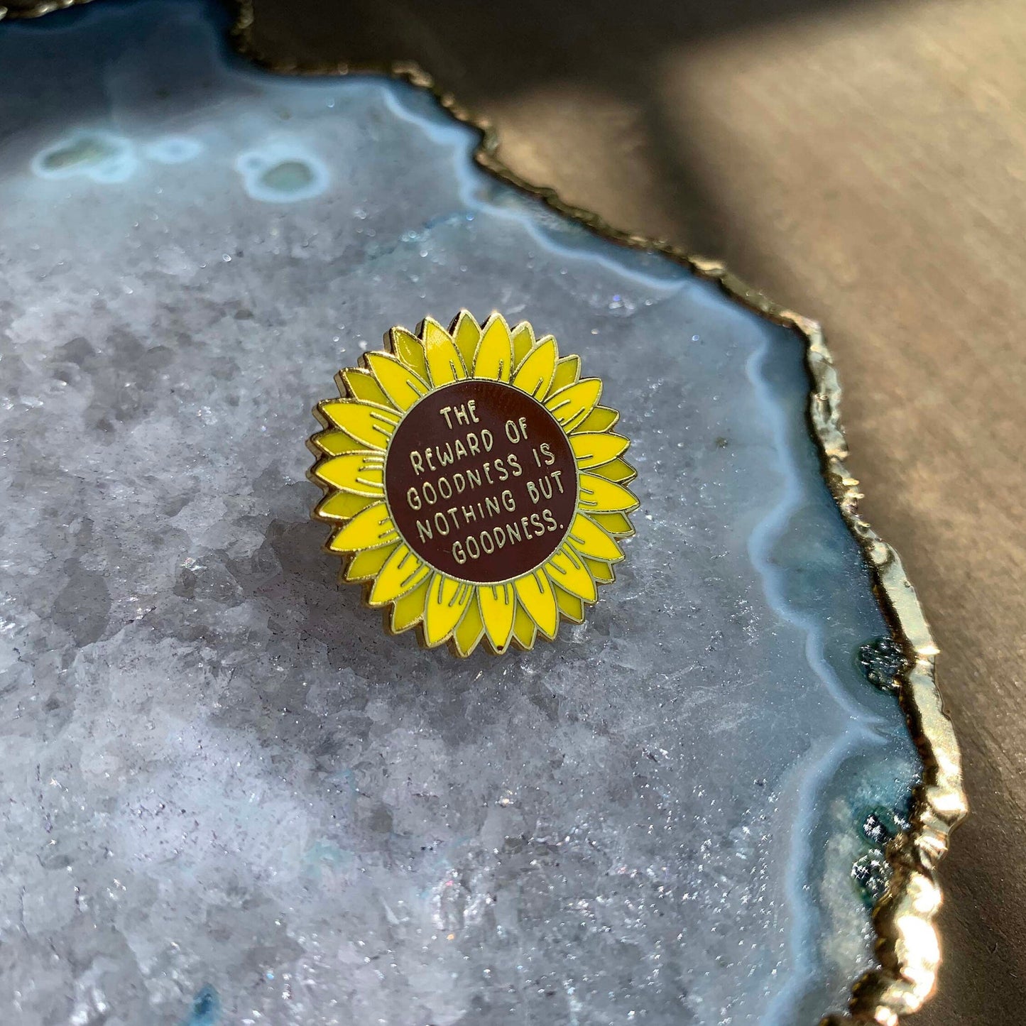 Reward Enamel Pin