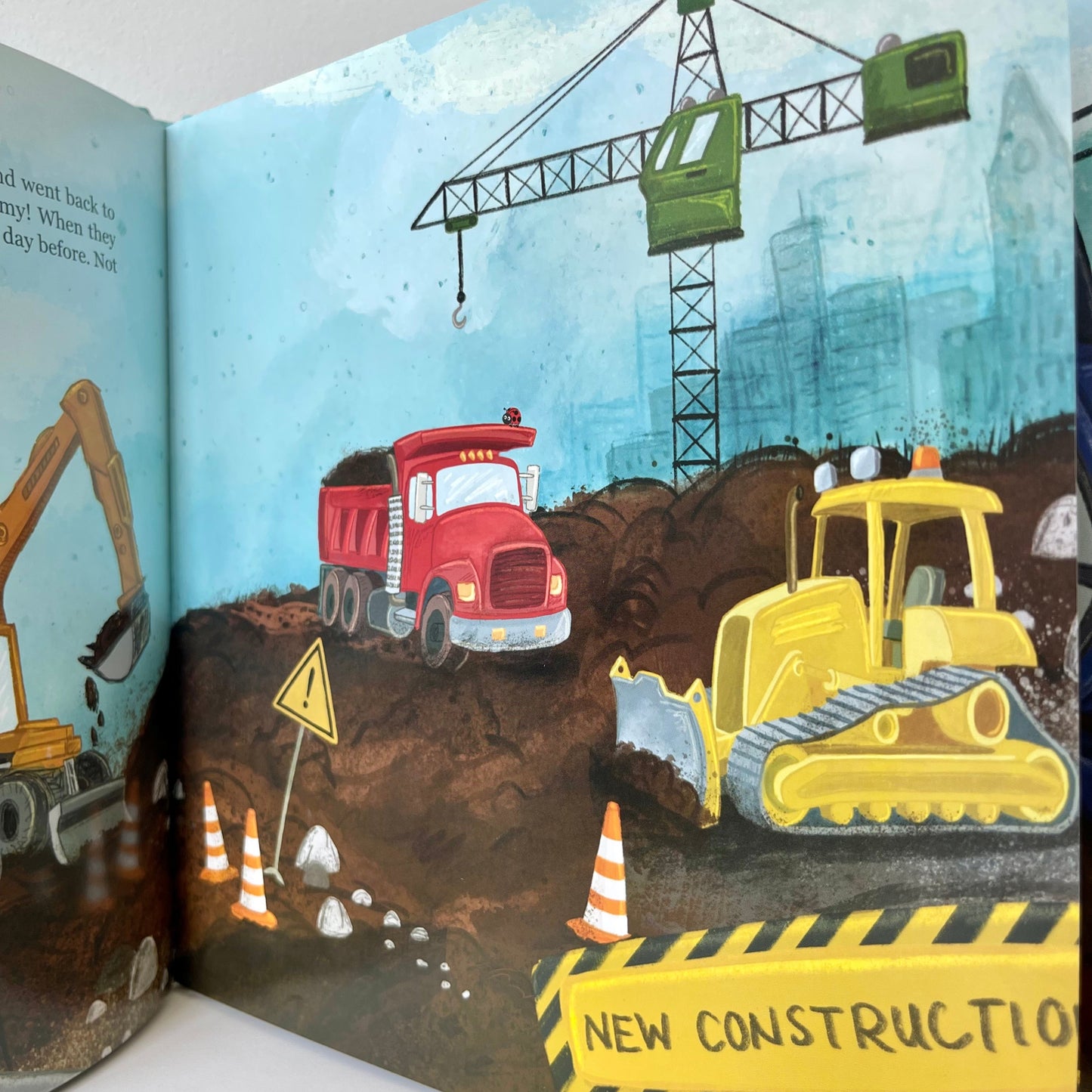 Nahl's Flower Frenzy Book