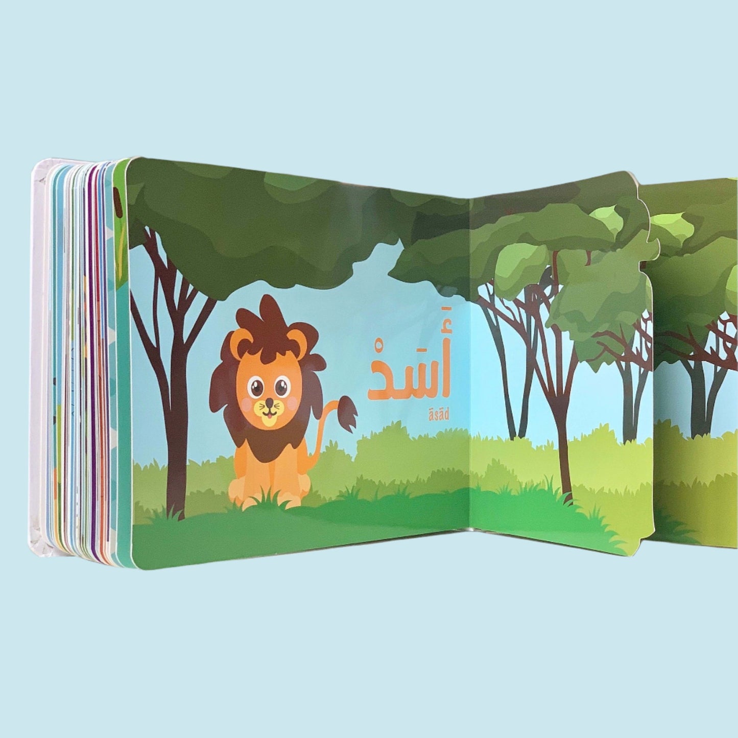 Alif Baa Taa Thaa Book and Flashcard Set